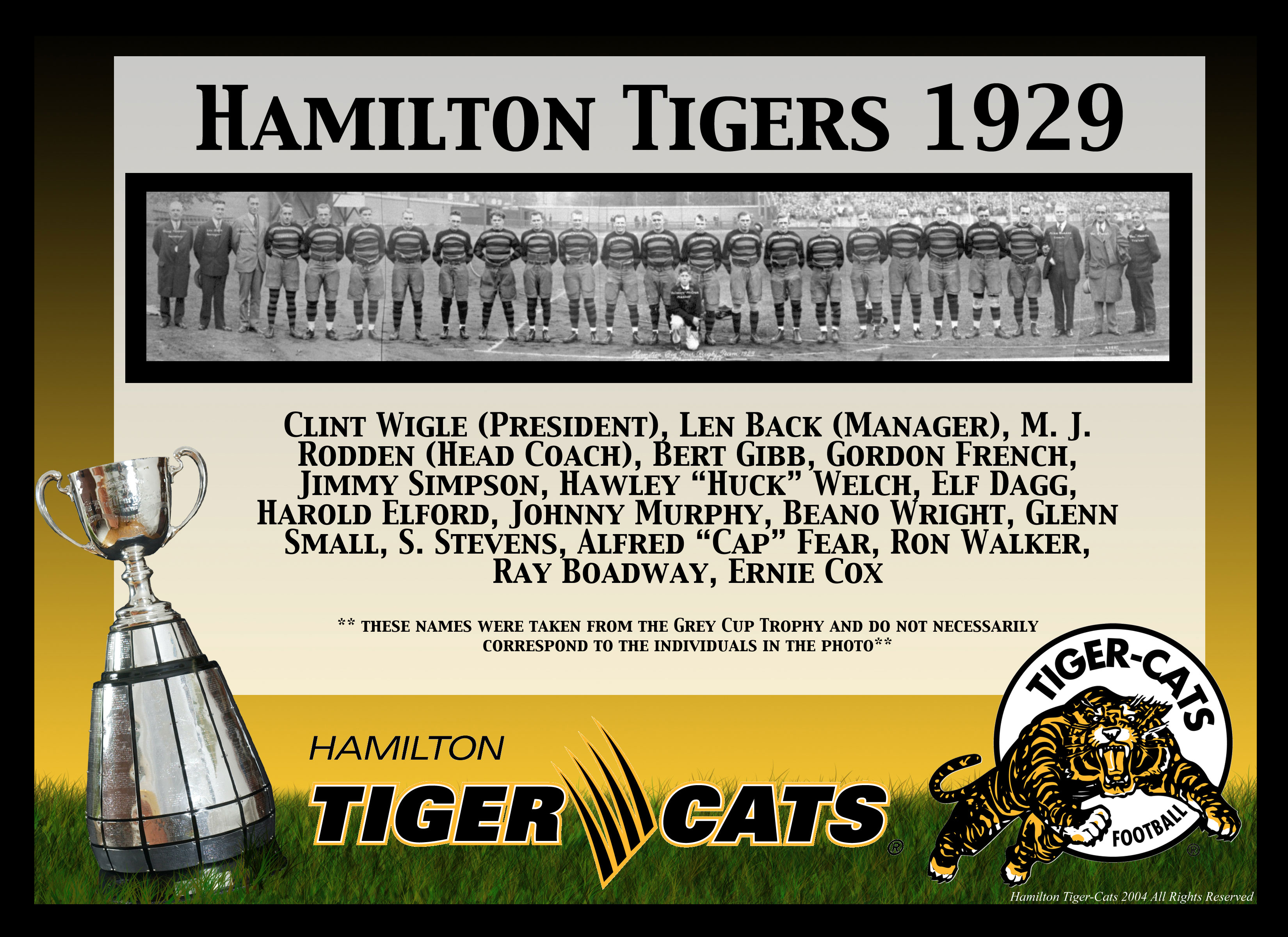 Hamilton Tigers - Logo History 