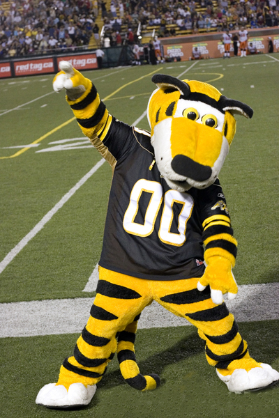 Hamilton Tiger Cats Mascot / The Team For You The Hamilton Tiger Cats Ninety Nine Yards American Football